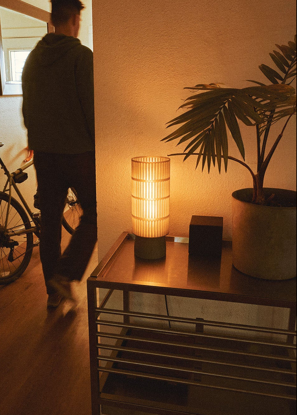 Person standing in a room with a bicycle, illfound colosseo lamp, and potted plant.