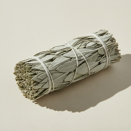 Bundled sage smudge stick on a beige background